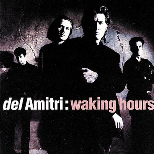Del Amitri: Waking Hours - COMPACT DISCS