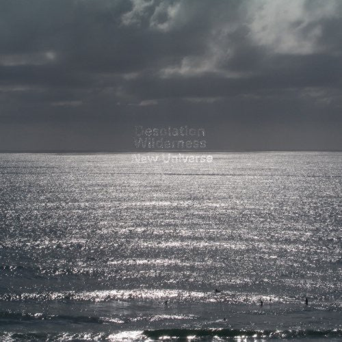 Desolation Wilderness: New Universe - Vinyl LP