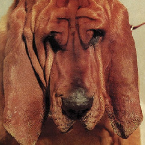 Ty Segall: Goodbye Bread - COMPACT DISCS