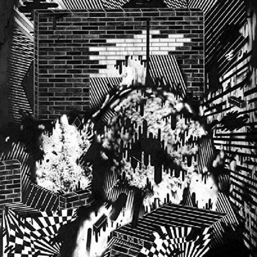 Gross Ghost: Public Housing - Vinyl LP