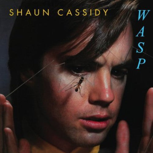 Shaun Cassidy: Wasp - COMPACT DISCS