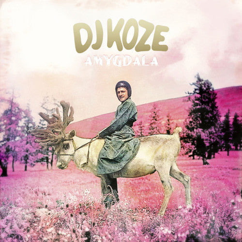 DJ Koze: Amygdala - Vinyl LP