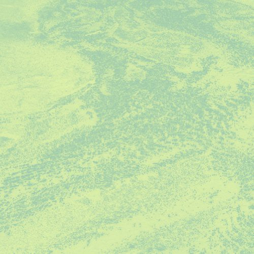 Brett Naucke: Seed - Vinyl LP