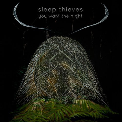 Sleep Thieves: You Want the Night - Vinyl LP
