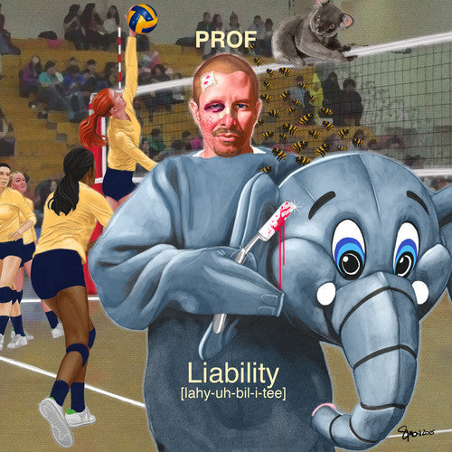 Prof: Liability - COMPACT DISCS