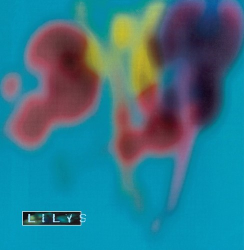 Lilys: Eccsame the Photon Band - Vinyl LP