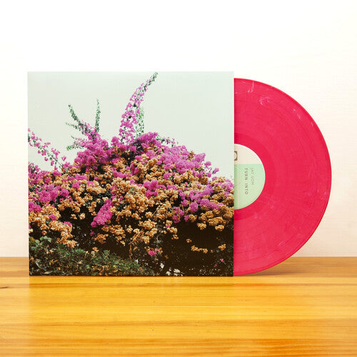 Jay Som: Turn Into - Vinyl LP