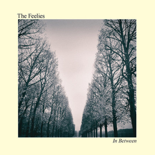 The Feelies: In Between - Vinyl LP