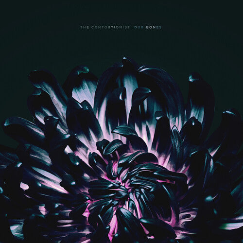 The Contortionist: Our Bones - Vinyl LP