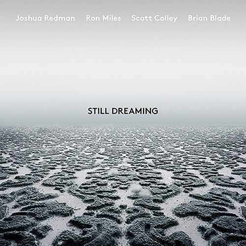 Joshua Redman: Still Dreaming - Vinyl LP