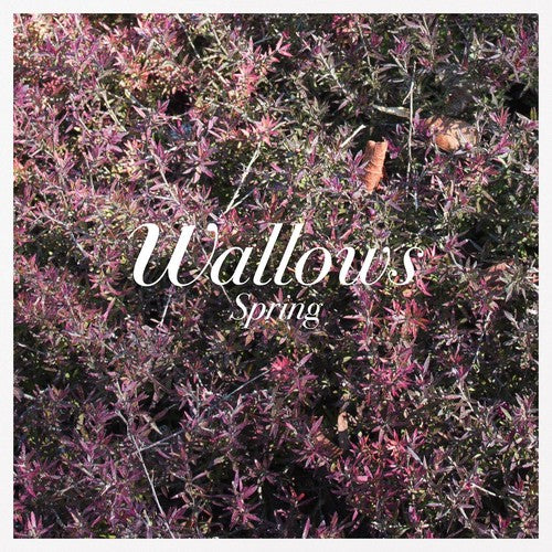 Wallows: Spring - Vinyl LP