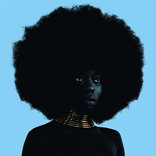 Sudan Archives: Sink - Vinyl LP