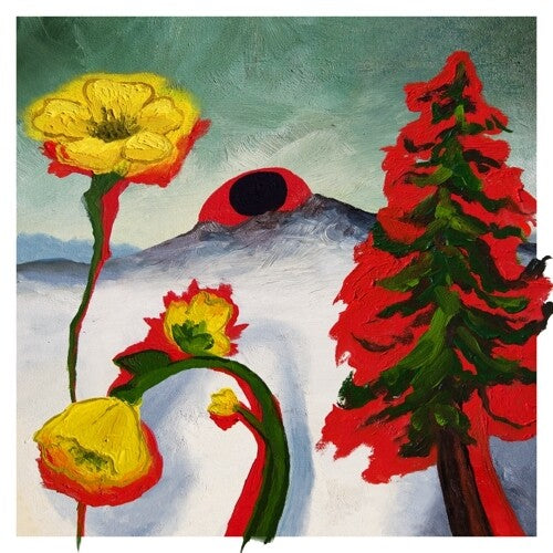 Woods: Strange To Explain - Vinyl LP