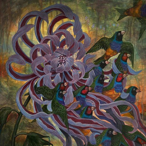 Covet: Technicolor - Vinyl LP
