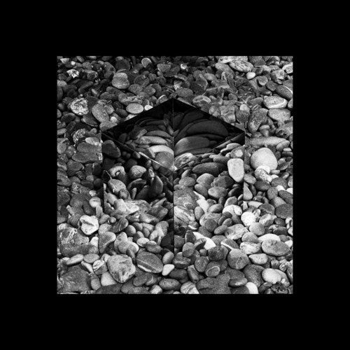 Sublee: Irealis - Vinyl LP
