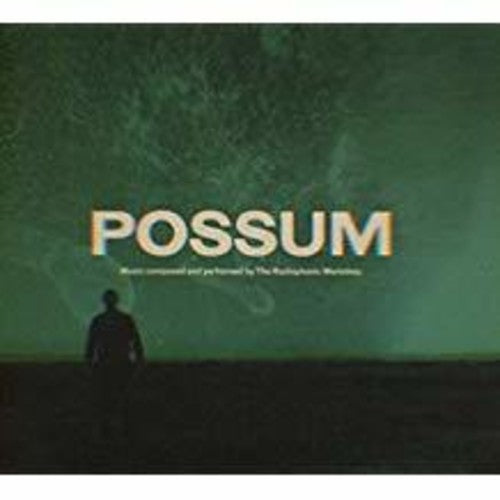 Radiophonic Workshop: Possum - COMPACT DISCS