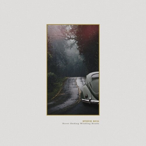 Steve Bug: Never Ending Winding Roads - Vinyl LP