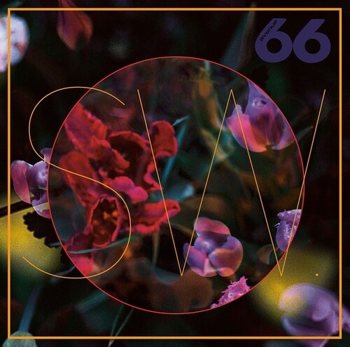 SW: blewLIPs - Vinyl LP