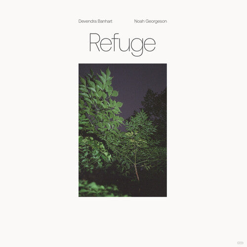 Devendra Banhart: Refuge - Vinyl LP