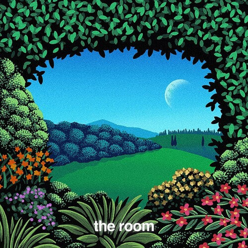 Ricky Reed: The Room - Vinyl LP