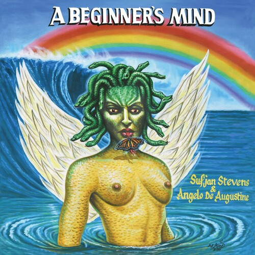 Sufjan Stevens: A Beginner's Mind - Vinyl LP