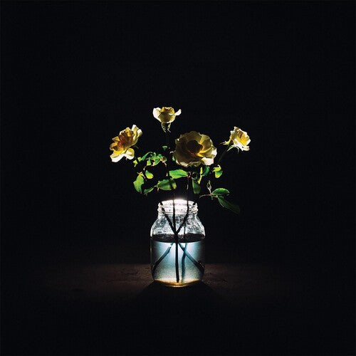 Billy Strings: Renewal - Vinyl LP