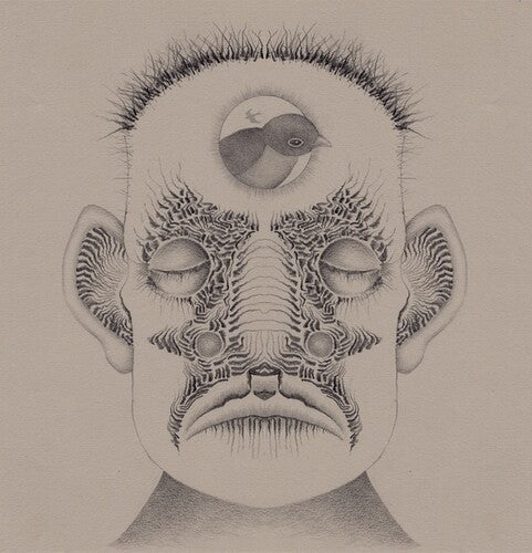 Brian Thummler: Ghost Birds - Vinyl LP