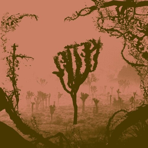 Kettel: My Dogan - Vinyl LP