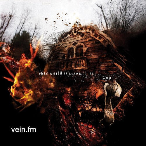 Vein.Fm: This World Is Going To Ruin - Vinyl LP