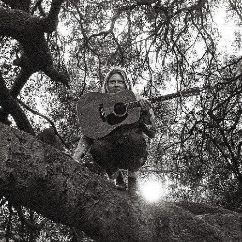 Ty Segall: Hello Hi - Vinyl LP