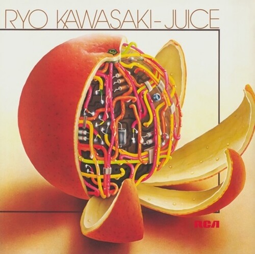 Ryo Kawasaki: Juice - Vinyl LP