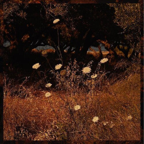 Szun Waves: Earth Patterns - Vinyl LP