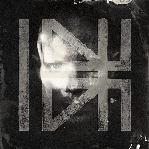 Billy Howerdel: What Normal Was - Vinyl LP