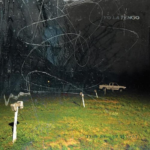 Yo La Tengo: This Stupid World - COMPACT DISCS