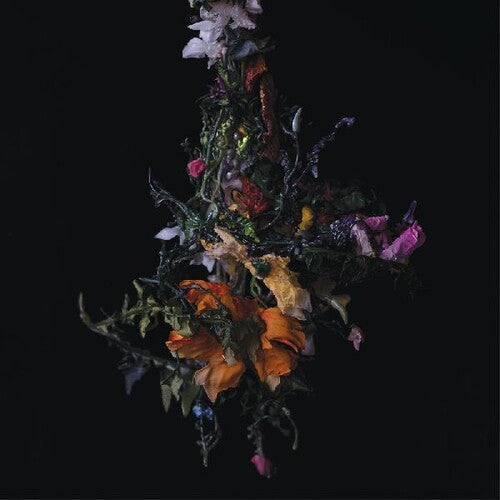 Big/Brave: Nature Morte - Vinyl LP