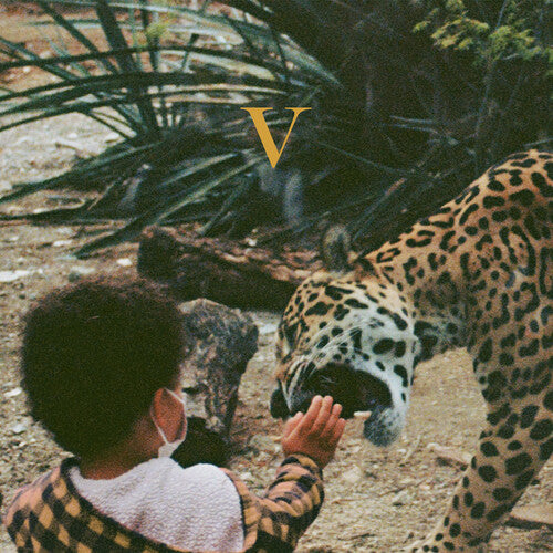 Unknown Mortal Orchestra: V - Vinyl LP