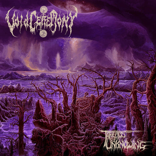Voidceremony: Threads Of Unknowing - COMPACT DISCS