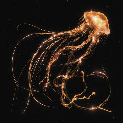 Royal Blood: Back To The Water Below - Vinyl LP