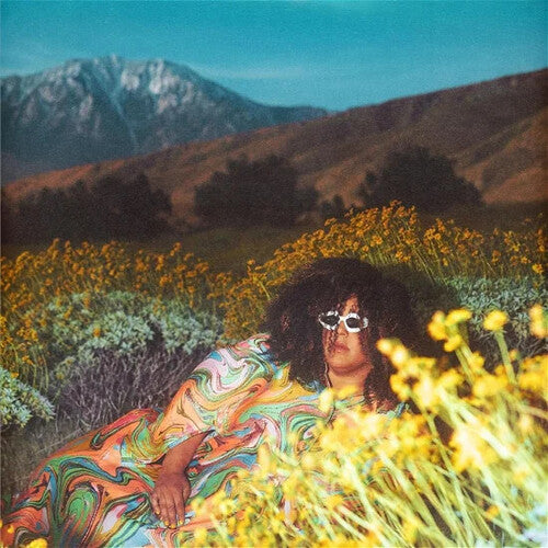Brittany Howard: What Now - Vinyl LP