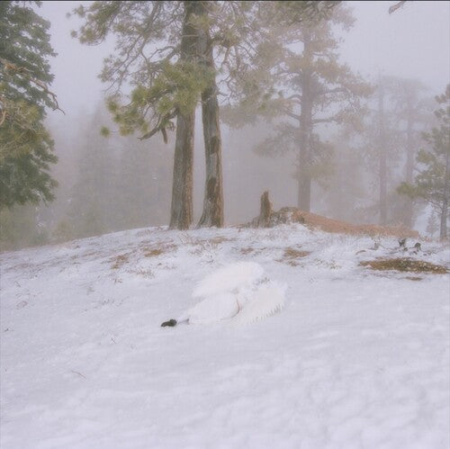 WISP: Pandora - COMPACT DISCS