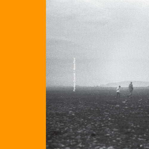 Portico Quartet: Portico Quartet / Hania Rani - Vinyl LP