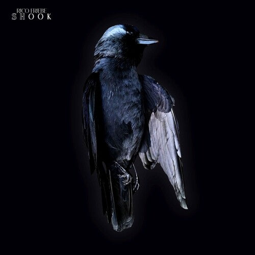 Rico Friebe: Shook - Vinyl LP