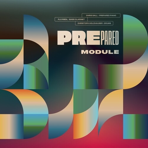Prepared: Module - Vinyl LP