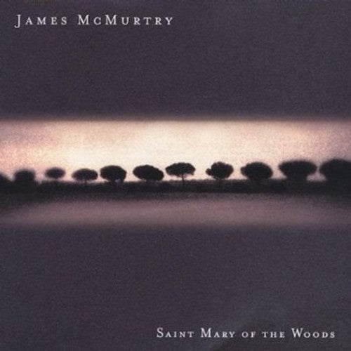 James McMurtry: Saint Mary of the Woods - COMPACT DISCS
