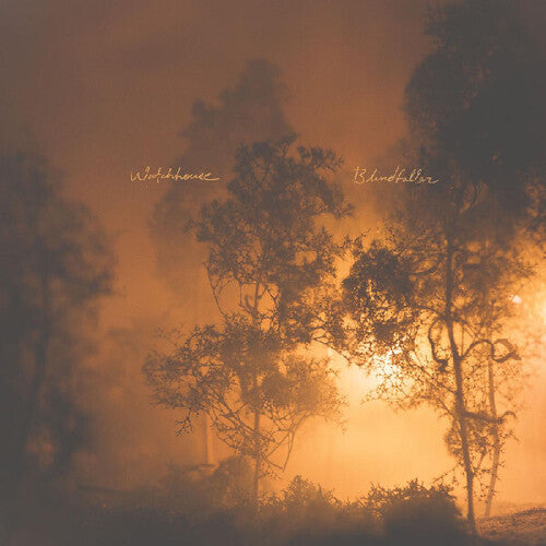 Watchhouse: Blindfaller - Vinyl LP