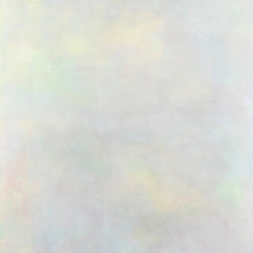 Variant: The Setting Sun - Vinyl LP