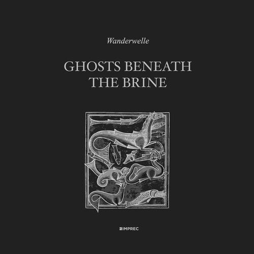 Wanderwelle: Ghosts Beneath The Brine - Vinyl LP