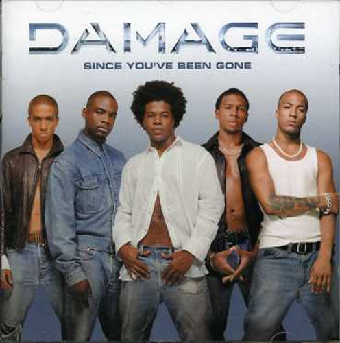 Damage: Since You've Been Gone - COMPACT DISCS