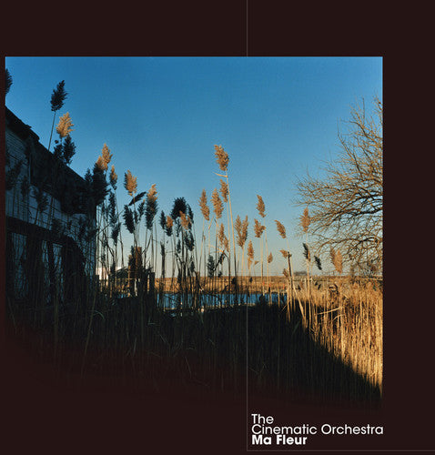 The Cinematic Orchestra: Ma Fleur - COMPACT DISCS