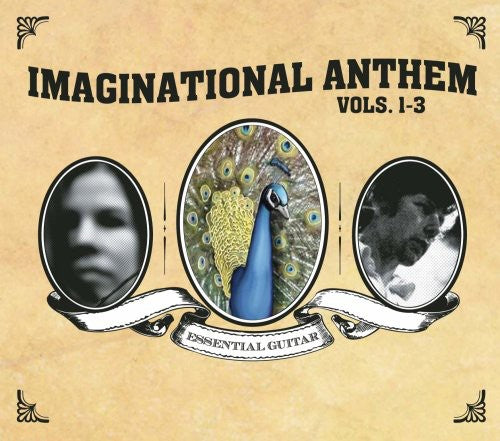 Various Artists: Imaginational Anthem, Vol. 1-3 - COMPACT DISCS